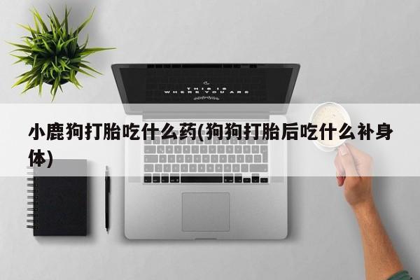 药流药在线付款小鹿狗打胎吃什么药(狗狗打胎后吃什么补身体)